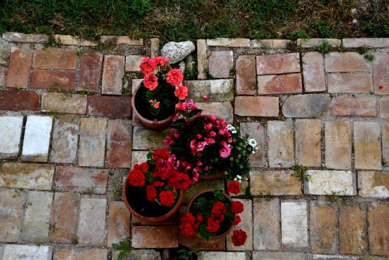 B&B Casale Fonte Vecchia Monteprandone Exterior foto