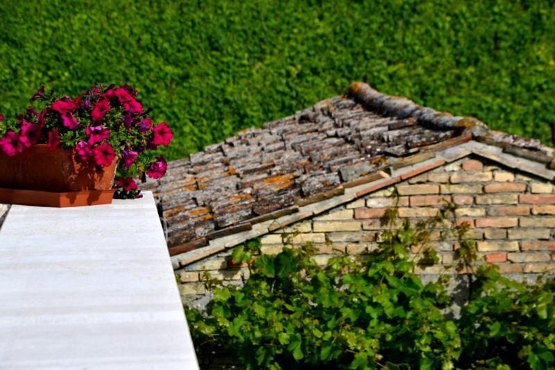 B&B Casale Fonte Vecchia Monteprandone Exterior foto
